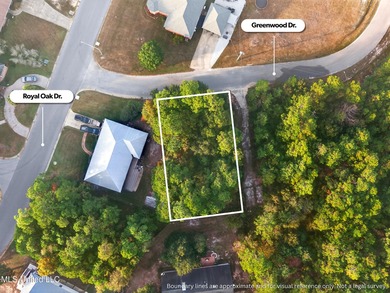 Beach Lot For Sale in Pass Christian, Mississippi