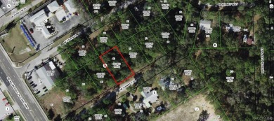 Beach Lot For Sale in Crystal River, Florida