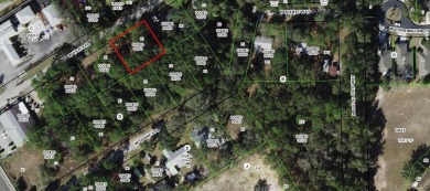 Beach Lot For Sale in Crystal River, Florida