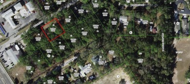 Beach Lot For Sale in Crystal River, Florida