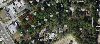 Beach Lot For Sale in Crystal River, Florida