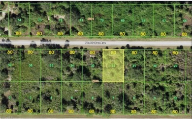 Beach Lot For Sale in Port Charlotte, Florida