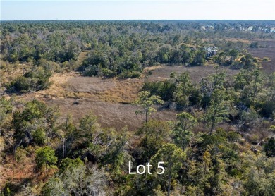 Beach Lot Off Market in Saint Simons, Georgia