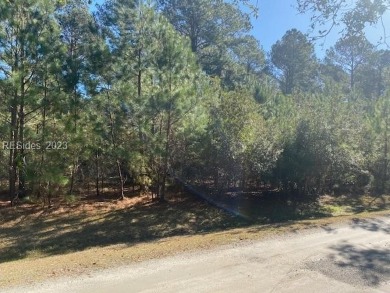 Beach Lot For Sale in Saint Helena Island, South Carolina