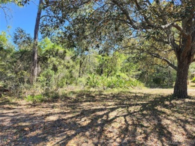 Beach Lot For Sale in Homosassa, Florida