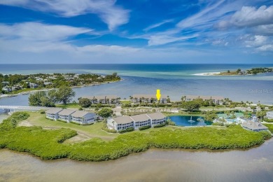 Beach Condo For Sale in Boca Grande, Florida