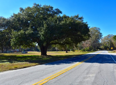 Beach Acreage For Sale in Hollywood, South Carolina