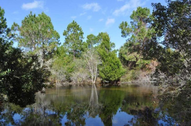 SEMINOLE WOODS BUILDING LOT Great building lot on fresh water - Beach Lot for sale in Palm Coast, Florida on Beachhouse.com