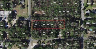 Beach Lot For Sale in Crystal River, Florida