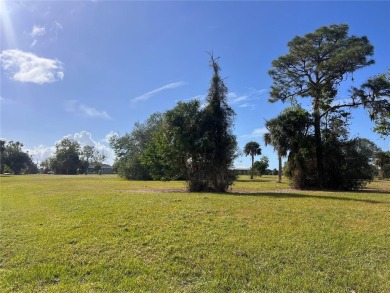 Beach Lot For Sale in Punta Gorda, Florida