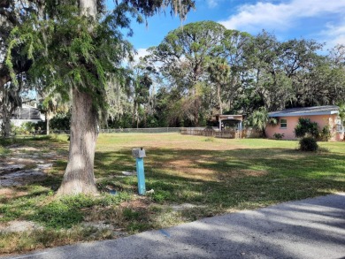 Beach Lot For Sale in Port Richey, Florida
