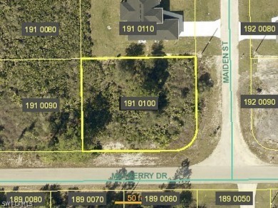 Beach Lot For Sale in Lehigh Acres, Florida