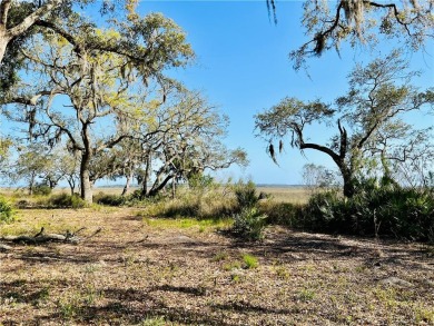 Beach Lot Off Market in Townsend, Georgia