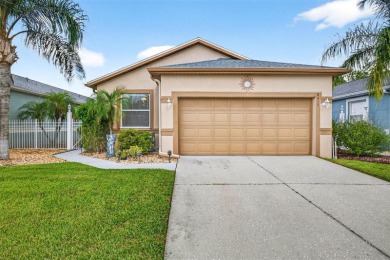 Beach Home For Sale in Land O Lakes, Florida