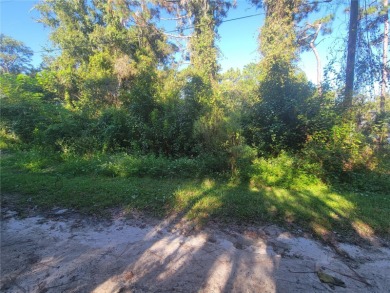 Beach Lot For Sale in New Port Richey, Florida