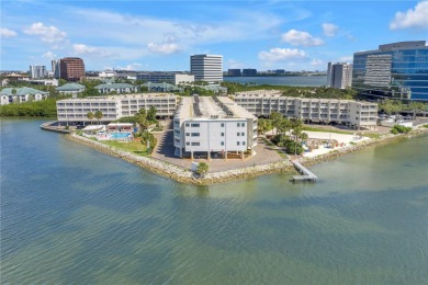 Beach Condo For Sale in Tampa, Florida