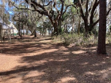 Beach Acreage Off Market in Darien, Georgia