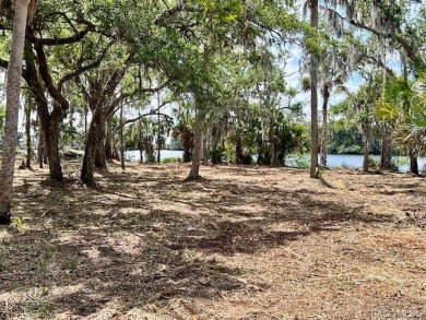 Beach Acreage For Sale in Crystal River, Florida