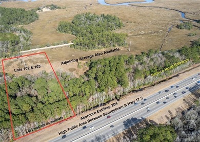 Beach Acreage For Sale in Savannah, Georgia