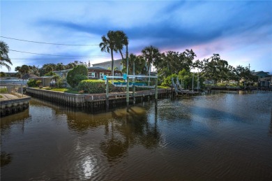 Beach Home For Sale in St. Petersburg, Florida