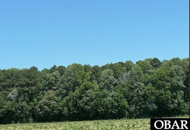 Beach Acreage For Sale in Camden, North Carolina