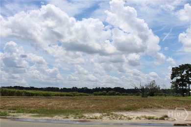 Beach Lot For Sale in Midway, Georgia