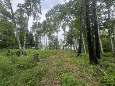 Beach Lot For Sale in Machiasport, Maine