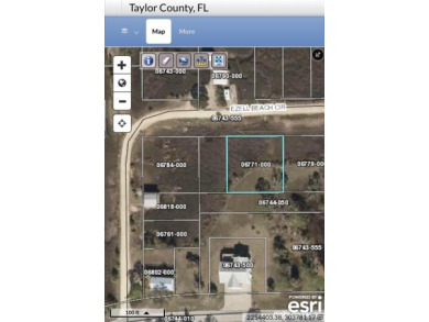 Beach Lot Off Market in Keaton Beach, Florida