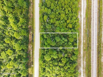 Beach Lot For Sale in Southport, North Carolina