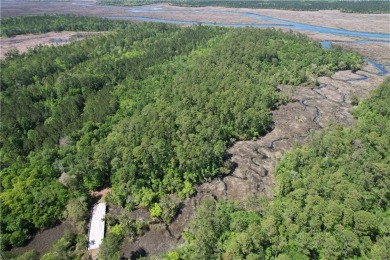 Beach Acreage Off Market in Waverly, Georgia