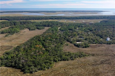 Beach Acreage Off Market in Saint Simons, Georgia