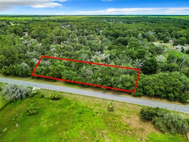 Beach Lot Sale Pending in Crystal River, Florida