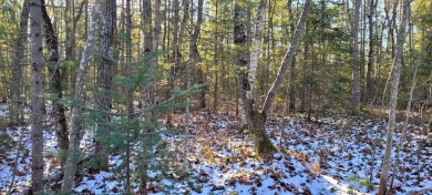 Beach Lot For Sale in Ocqueoc, Michigan