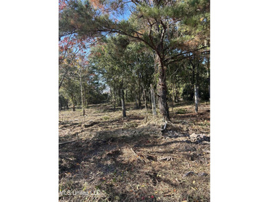 Beach Lot For Sale in Bay Saint Louis, Mississippi