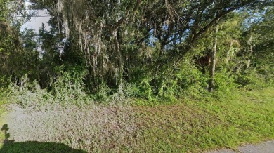 Beach Lot For Sale in North Port, Florida