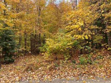Beach Lot For Sale in Mackinaw City, Michigan