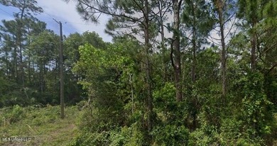 Beach Lot For Sale in Pass Christian, Mississippi