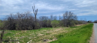 Beach Acreage For Sale in Cape Vincent, New York