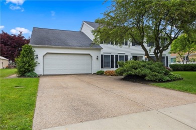Beach Home For Sale in Huron, Ohio