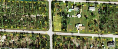 Beach Lot For Sale in Punta Gorda, Florida