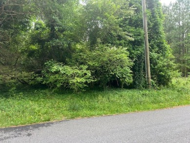 Beach Lot For Sale in Claremont, Virginia