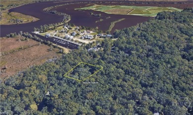 Beach Lot For Sale in Richmond Hill, Georgia