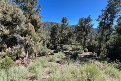 Beach Lot For Sale in Pine Mountain Club, California