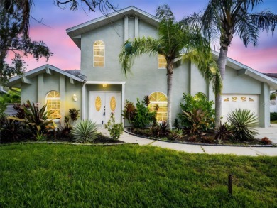 Beach Home For Sale in Tarpon Springs, Florida