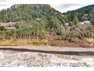 Beach Lot For Sale in Arch Cape, Oregon