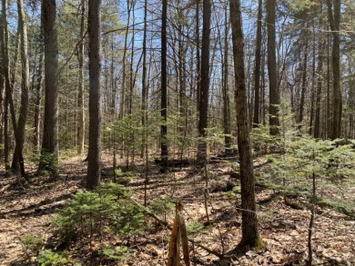 Beach Acreage Off Market in Freeport, Maine