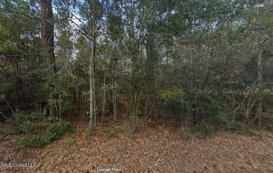 Beach Lot For Sale in Bay Saint Louis, Mississippi