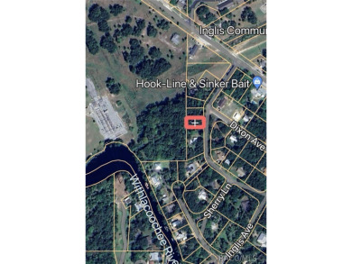 Beach Lot For Sale in Inglis, Florida