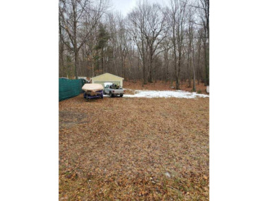 Beach Lot For Sale in Mears, Michigan