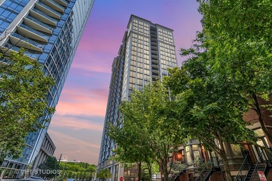 Beach Condo For Sale in Chicago, Illinois